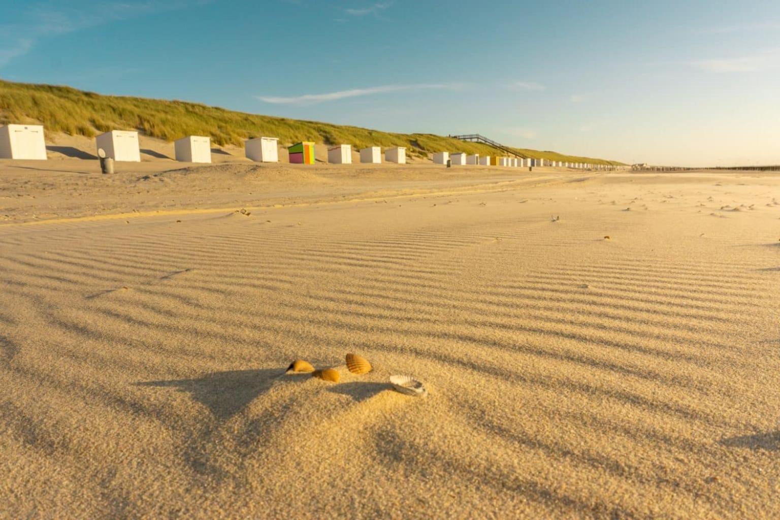 'Relax Lodge Sea' - Wellness Lodge In Zeeland - Private Sauna - Airco - Garden - Outdoor Swimming Pool - Free Wifi, Towels & Bed Linen Heinkenszand Exteriér fotografie